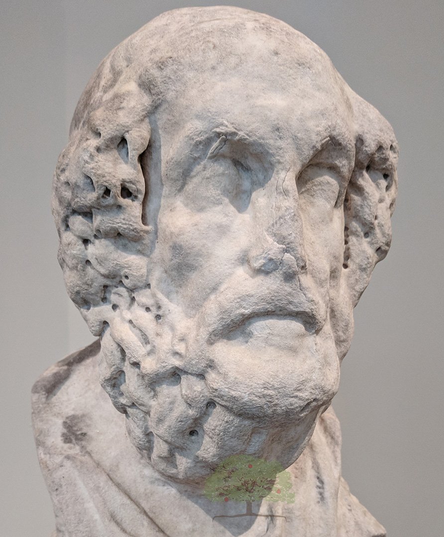 Marble Head of Homer at Met in NYC